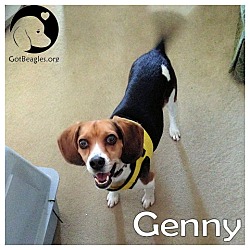 Thumbnail photo of Genny #1