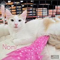 Photo of Nomi