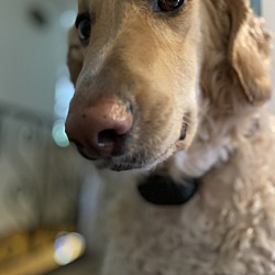 Photo of Manny