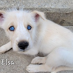 Photo of ELSA