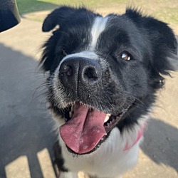 Photo of Holly