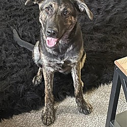Photo of Hope