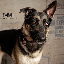 Thumbnail photo of Farah #2