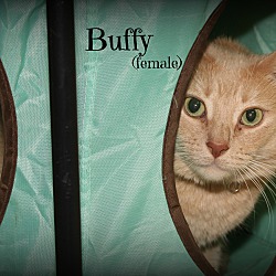 Thumbnail photo of Buffy #4