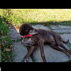 Thumbnail photo of Jazzy #2