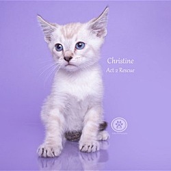 Photo of Christine