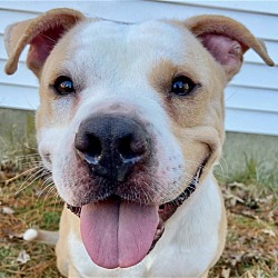 Photo of Augustus (Gus)