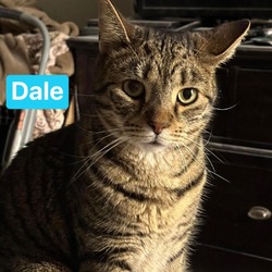 Thumbnail photo of Dale #1