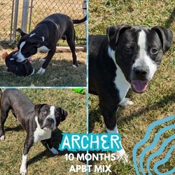 Thumbnail photo of Archer #1