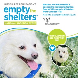 Thumbnail photo of Elizabeth- $50 Bissell Sponsored Adoption Fee! #1