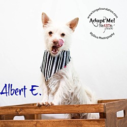 Thumbnail photo of Albert E #2