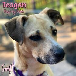 Thumbnail photo of Teagan #2