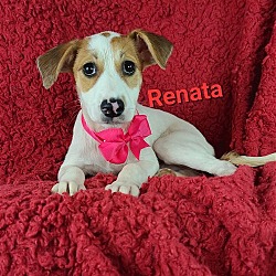Photo of Renata