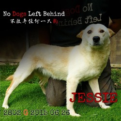 Thumbnail photo of Jessie 2802 #1