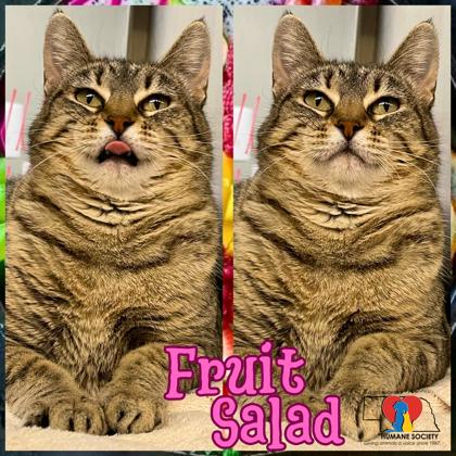 Thumbnail photo of Fruit Salad #1