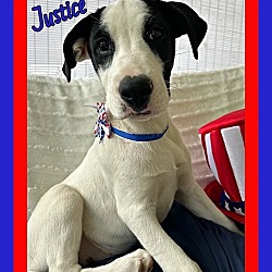 Photo of Justice