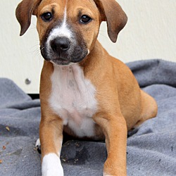 Thumbnail photo of Floyd~adopted! #4