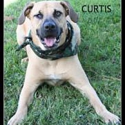 Photo of Curtis