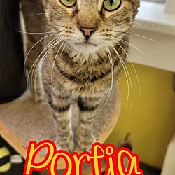 Photo of Portia
