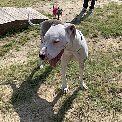 Photo of Junior