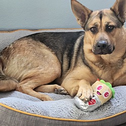Photo of Misa
