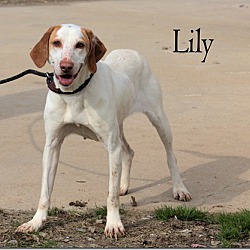 Photo of Lilly Ann