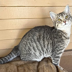 Photo of Prudence