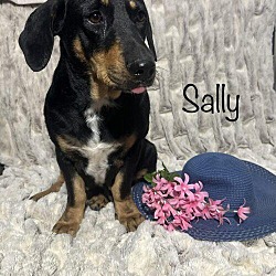 Photo of Sally
