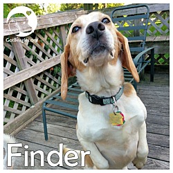 Thumbnail photo of Finder #1