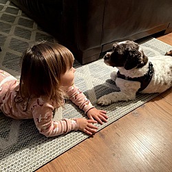 Photo of Lucy