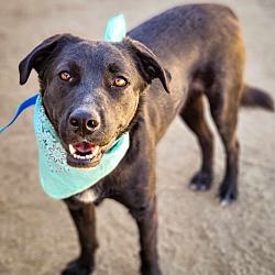 Photo of Jasper