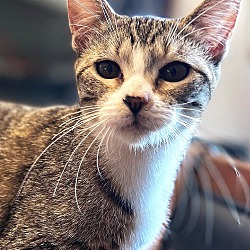 Photo of Frannie