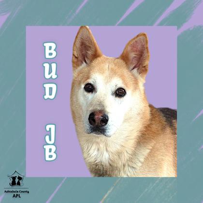 Photo of Bud 'JB'