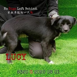 Thumbnail photo of Lucy 8320 #3