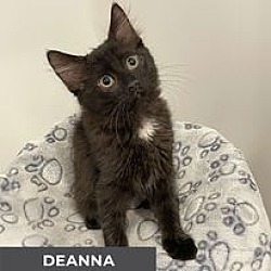 Thumbnail photo of Deanna #2