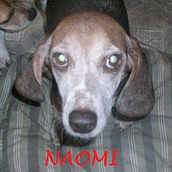Thumbnail photo of NAOMI #2