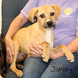 Thumbnail photo of Jimmy ~ meet me! #4