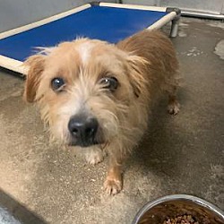 Top Island Breeze Animal Rescue in 2023 Learn more here 
