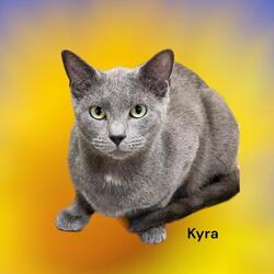Photo of Kyra
