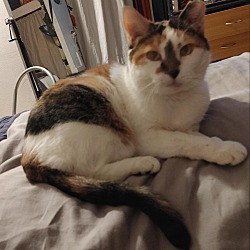 Photo of Misha