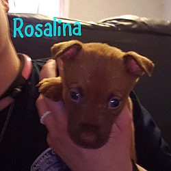 Photo of Rosalina