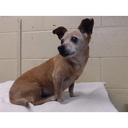 Photo of TOOTSIE