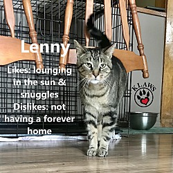 Thumbnail photo of Lenny #1