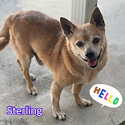 Photo of Sterling