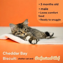 Photo of Cheddar Bay Biscuit