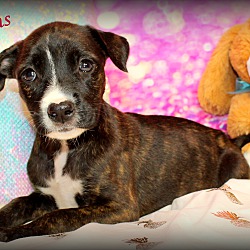 Thumbnail photo of Babykins~adopted! #1