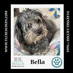 Thumbnail photo of Bella 042724 #3