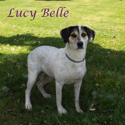 Thumbnail photo of Lucy Belle D24-099 #2