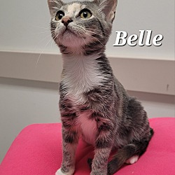 Thumbnail photo of Belle #1