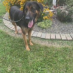 Photo of BRONX